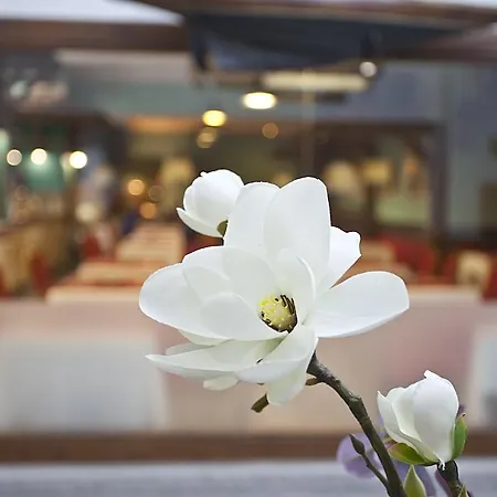Hotel Ilunion Les Corts Barcelona