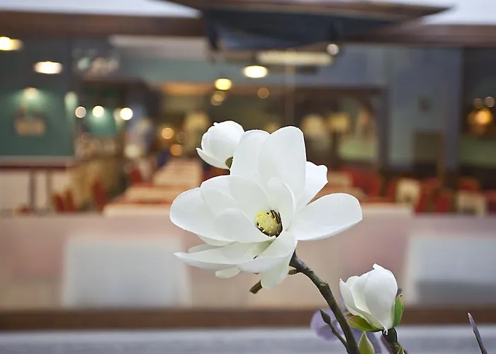 Hotel Ilunion Les Corts Barcelona